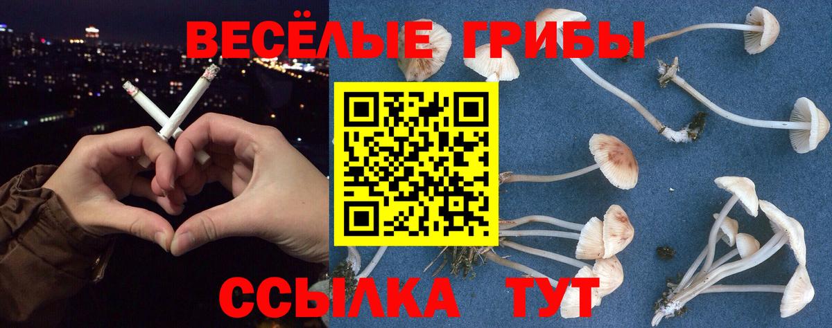 Уссурийск  где найти наркотики  Вход с VPN  Галлюциногенные грибы прущие грибы  Галлюциногенные грибы прущие грибы 